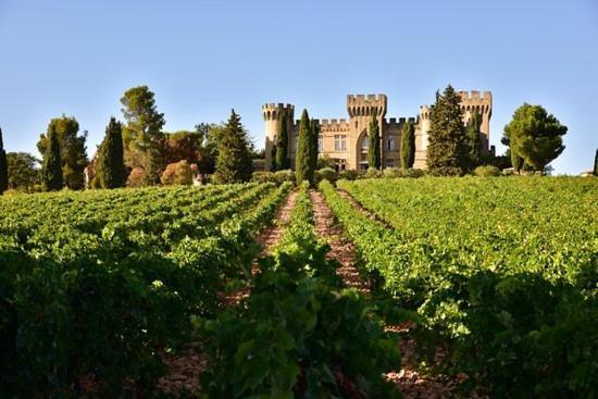 Bienvenue Chez Shiva Lägenhet Châteauneuf-du-Pape Exteriör bild