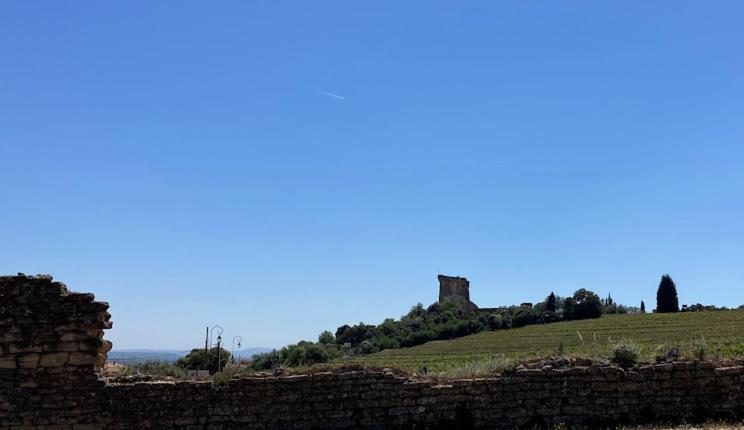 Bienvenue Chez Shiva Lägenhet Châteauneuf-du-Pape Exteriör bild