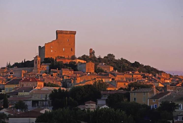 Bienvenue Chez Shiva Lägenhet Châteauneuf-du-Pape Exteriör bild